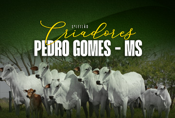 1º LEILÃO CRIADORES DE PEDRO GOMES - MS